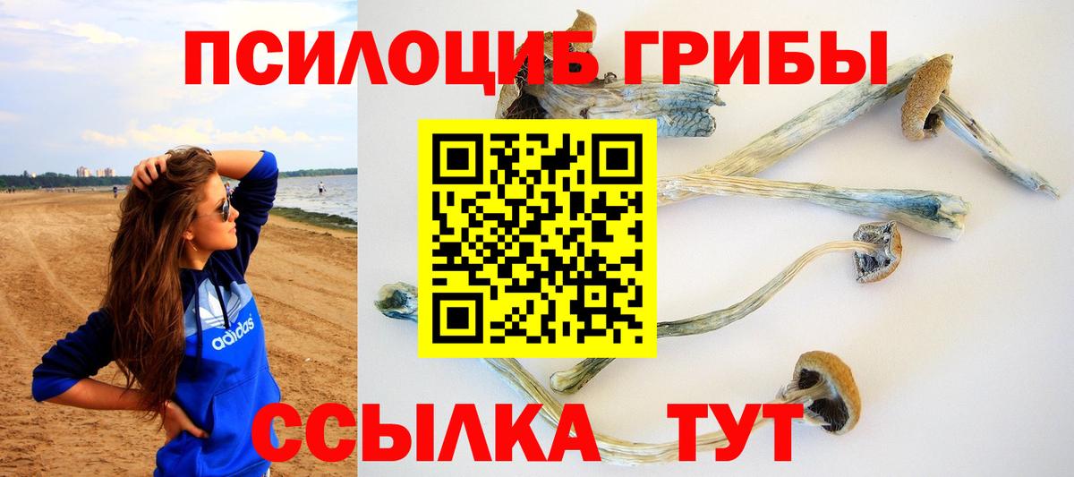 Псилоцибиновые грибы MAGIC MUSHROOMS Санкт-Петербург